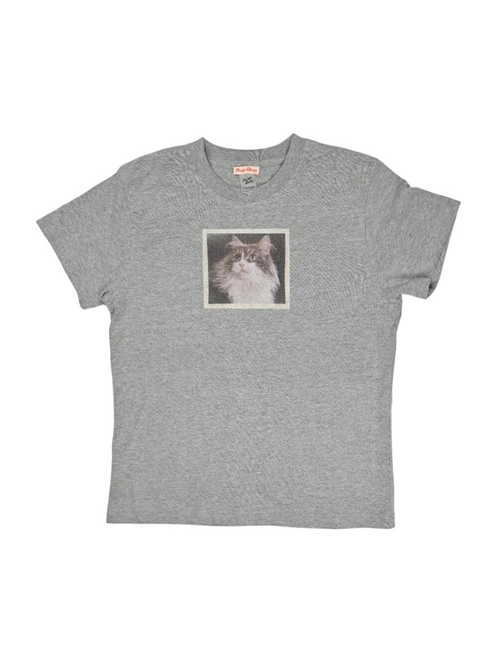Fruity Booty Cat Square Graphic Tee in Grey